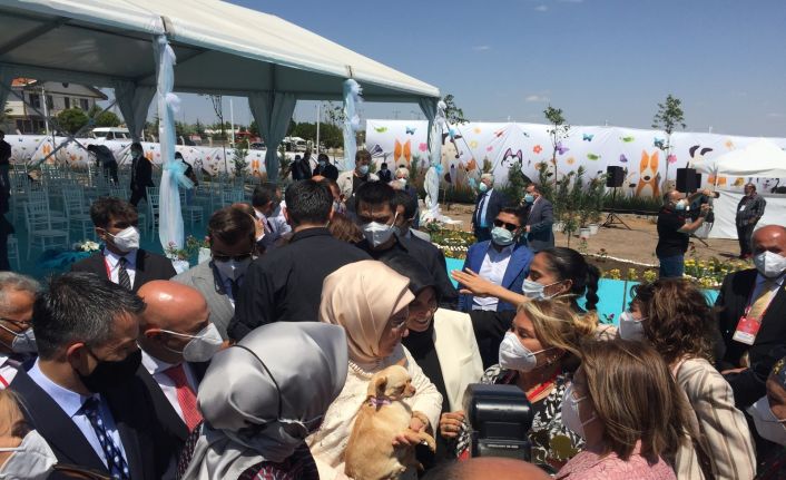 Emine Erdoğan ses telleri kesilen köpeği sanatçı Yonca Evcimik’e emanet etti