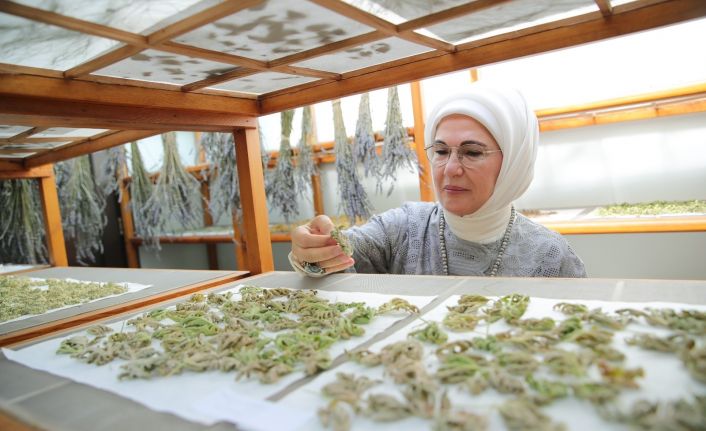 Emine Erdoğan, Zeytinburnu Tıbbi Bitkiler Bahçesi’ni ziyaret etti