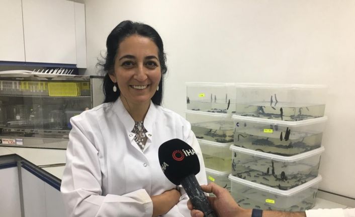 ERÜ’de yerli Covid aşısından sonra kanser ilacında da faz çalışmaları başlayacak