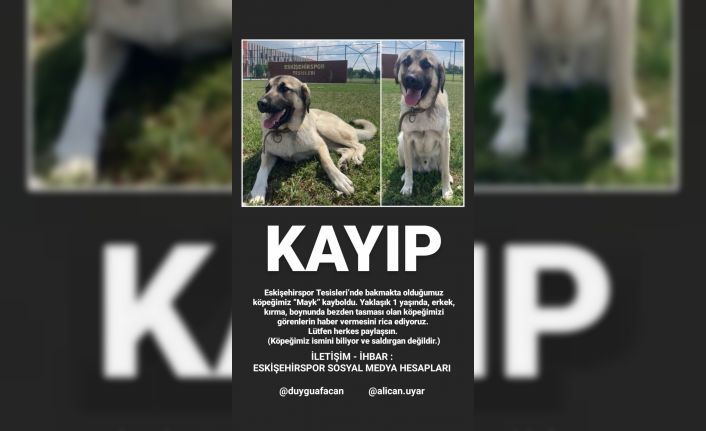 Eskişehirspor’un köpeği kayboldu