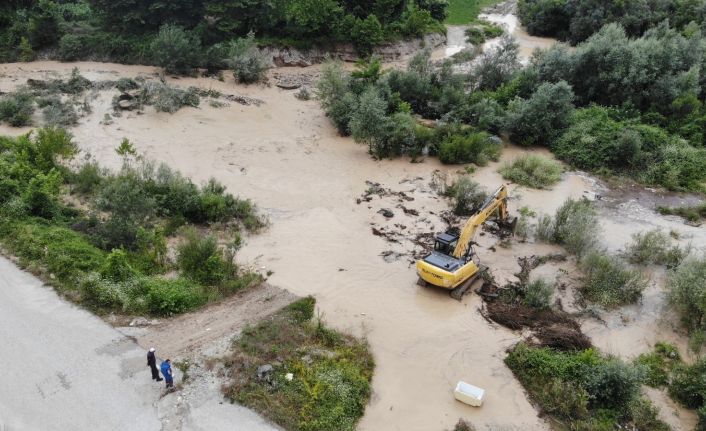 Evinin önüne düşen direği kaldırmak isterken sel sularına kapıldı