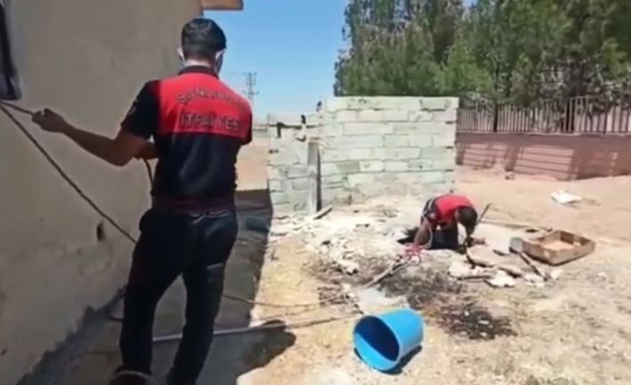 Foseptik çukuruna düşen yavru köpek kurtarıldı