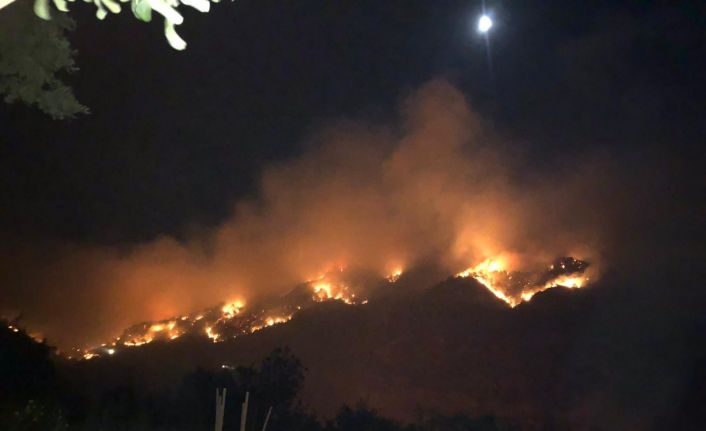 Gazipaşa’da 3 farklı noktada orman yangını