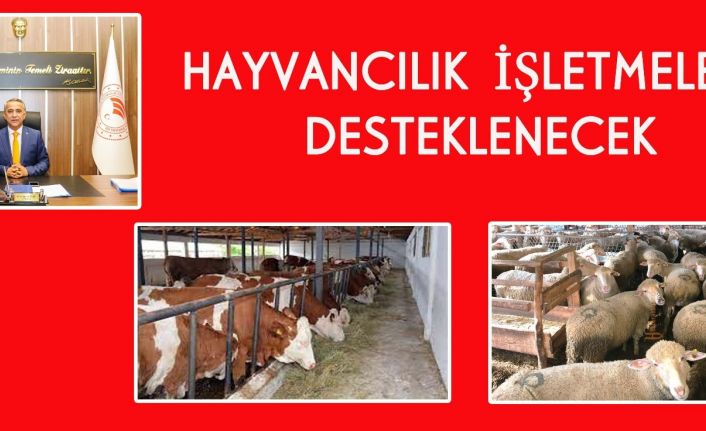 Hayvancılık yatırım desteği başvuruları başladı