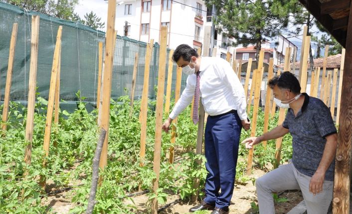 Hobi bahçeleri öğrencilerin ilgisini çekiyor