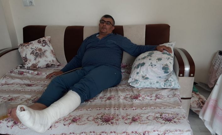 İhmal, piknikçi baba ve kızını hastanelik etti