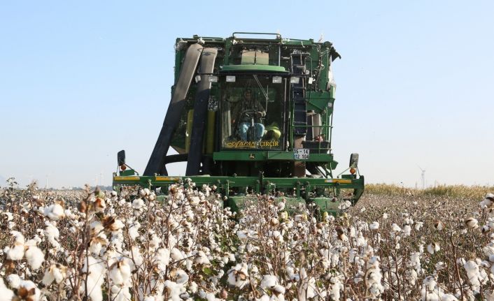 İl Tarım ve Orman Müdürü Ökdem; “Söke’de organik pamukla ilgili olumsuzluk yok”