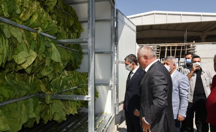 İlk tütün kurutma fabrikası Batman’da açıldı