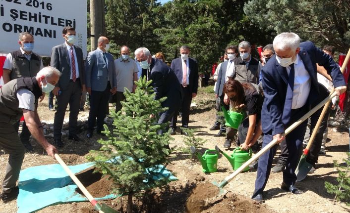 Isparta’da 15 Temmuz Ormanı’na fidan dikildi