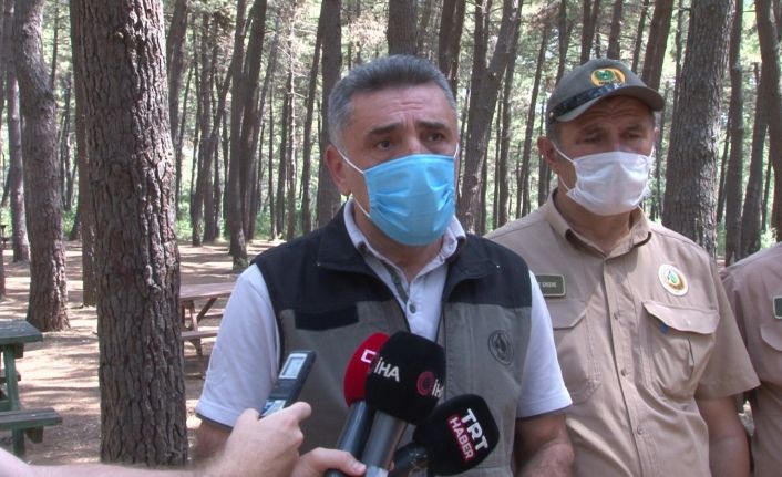 İstanbul Orman Bölge Müdürü Yusuf Şahin’den orman yasakları ile ilgili açıklama
