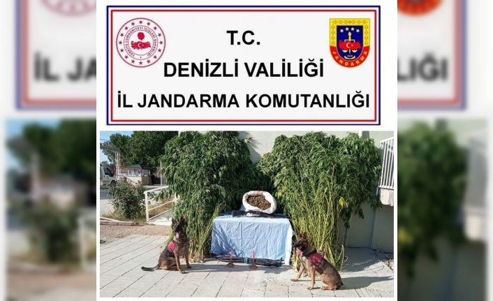 Jandarma tacirleri adım adım takip etti, 10 kilo esrarı satılamadan yakaladı