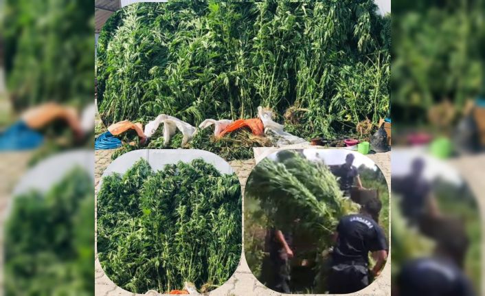 Jandarmadan iki günde büyük operasyon