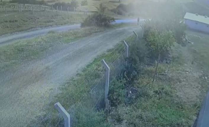 Kaçan kurbanlığın peşinden giden tıp öğrencisinin son görüntüleri ortaya çıktı