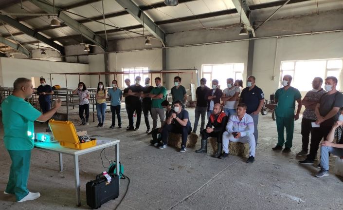 Kars’ta ineklerde uygulamalı ‘Reprodüktif Ultrasonografi’ kursu