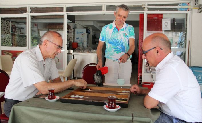 Kaşıkla yemek verilen, enjektörle su içirilen yavru karga, kafede masalara da misafir oluyor