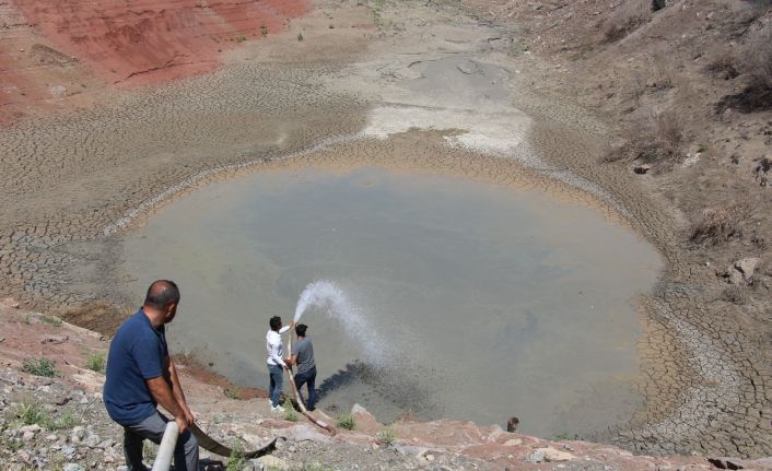 Kuraklık hat safhaya ulaştı, 10 bin balık için köy halkı seferber oldu