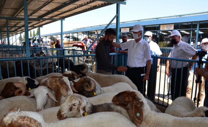 Kurban Bayramı öncesi tüm tedbirler gözden geçirildi