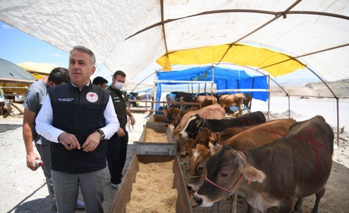 Kurban pazarlarında denetimler başladı