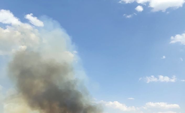 Kuş cennetinde korkutan yangın