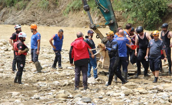 Mahsur kalan köpek kepçeyle kurtarıldı