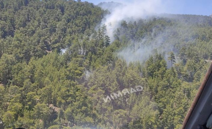 Manavgat’ta çıkan yangında 2 dönümlük kızılçam ormanı zarar gördü