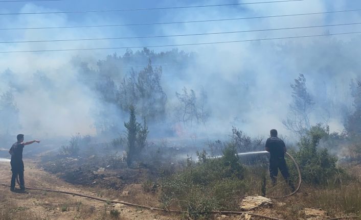 Manavgat’ta çıkan yangında 5 dönüm ormanlık alan zarar gördü