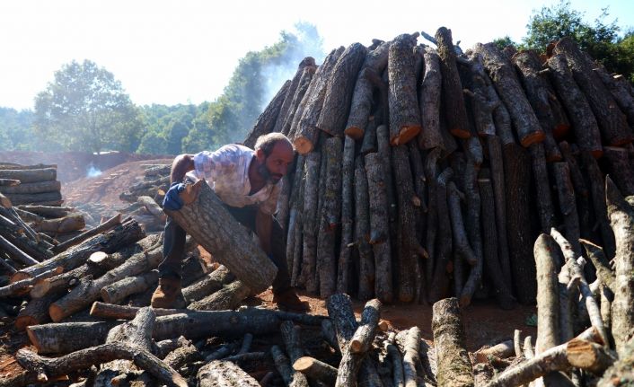 Mangal kömürünün zorlu yolculuğu