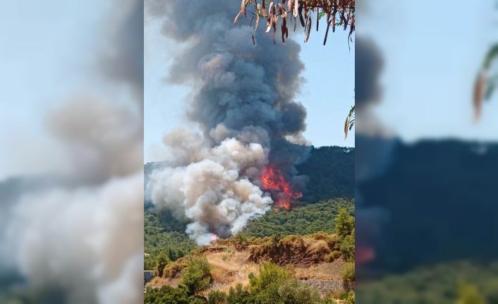 Marmaris’teki orman yangınının ilk başladığı ana ait görüntüler ortaya çıktı