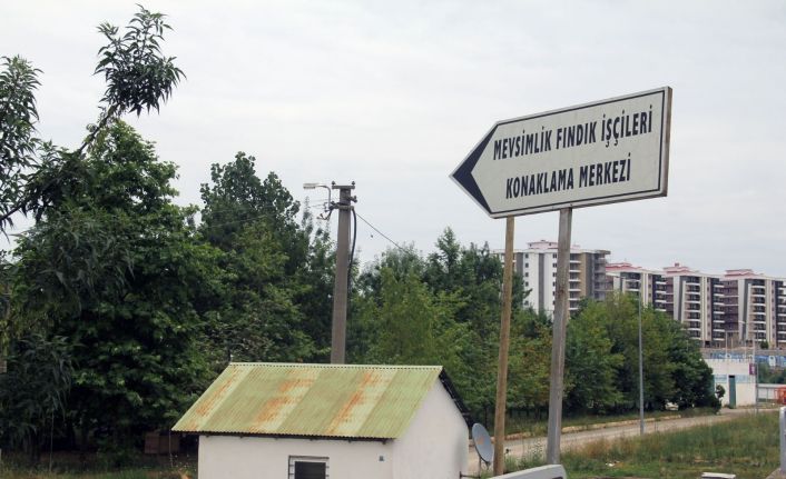 Mevsimlik fındık işçileri için pandemi koşullarına uygun konaklama merkezi hazırlandı