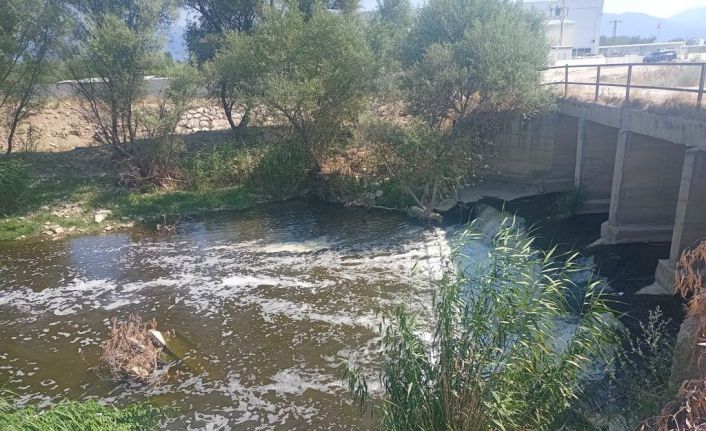 MHP’li başkandan Tunç Soyer’e sert tepki