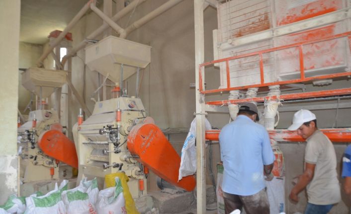 Muş’ta hasadı yapılan buğday taş değirmenlerde öğütülüyor