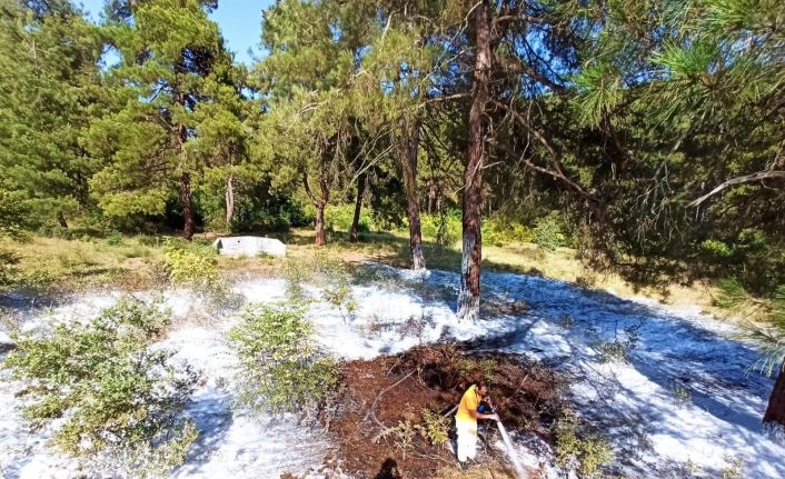 Mustafakemalpaşa’da çıkan orman yangına zamanında müdahale