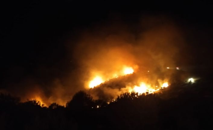 Nazilli’deki orman yangınını söndürme çalışmaları gece de devam ediyor