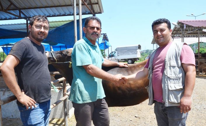 Ordu’da kurban pazarında haraketlilik arttı