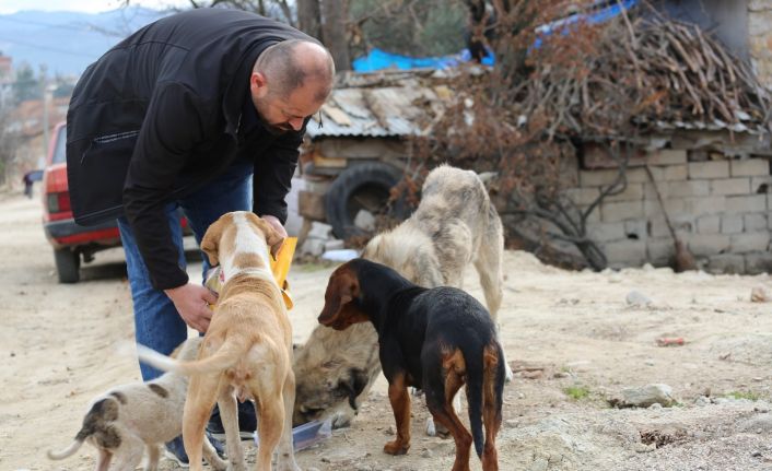 Orhaneli Belediyesi’nden sokak hayvanları için çağrı
