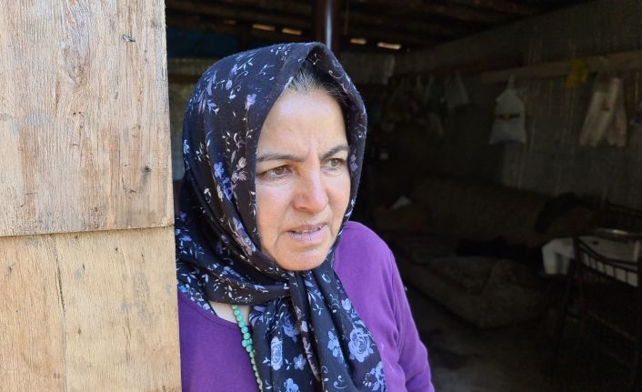 Ormanlık alanda kaybolan down sendromlu genç kızı arama çalışmaları 11 gündür sürüyor