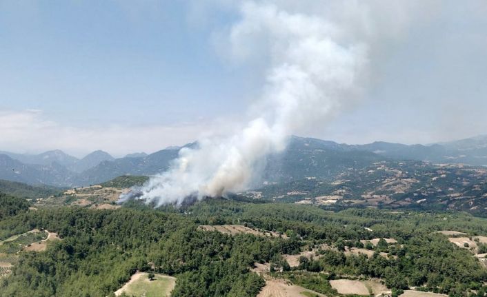 Osmaniye’de yangını kontrol altına alma çalışmaları sürüyor