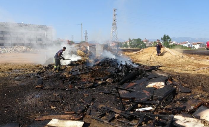 (ÖZEL) Alevler kümeslerdeki hayvanları vurdu, yürek sızlatan görüntüler ortaya çıktı