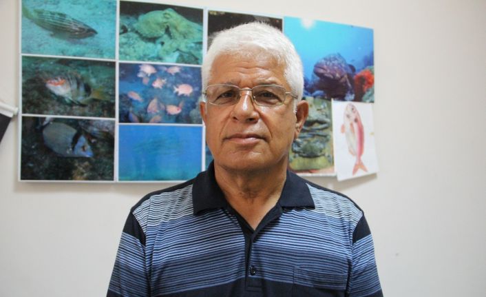 (ÖZEL) "Dünyadaki 600-700 fok sayısının dörtte üçü Yunanistan ile Türkiye kıyılarında yaşıyor"