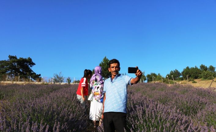 (ÖZEL) Köydeki lavanta tarlası fotoğraf tutkunlarının ilgi odağı