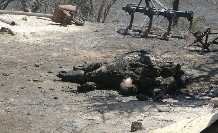 (Özel) Sarılar’da yeniden yükselen alevler evleri tehdit etti mahalleli sokağa döküldü