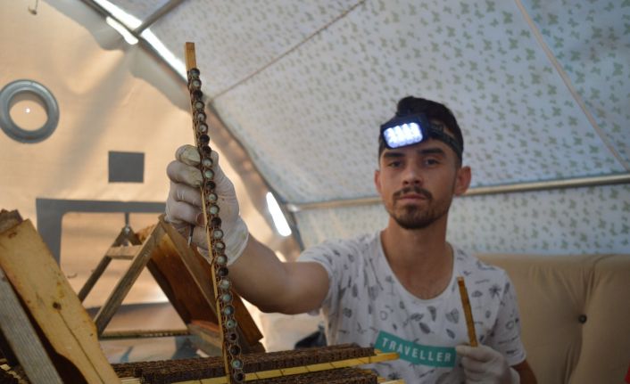 (ÖZEL) Şifa kaynağının kilosunu 10 bin liraya satıyor