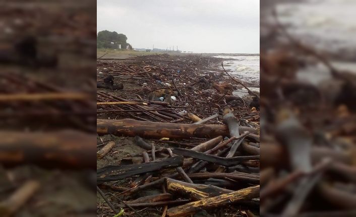 Sahiller odun deposuna döndü