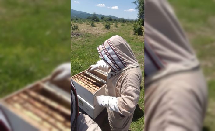 Sel felaketi arıcıları da vurdu