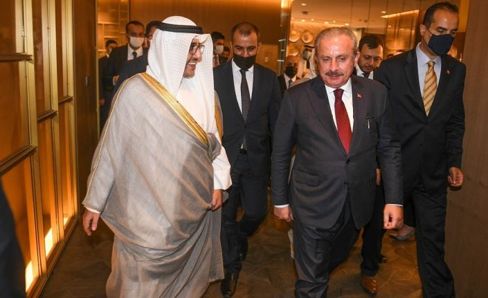 Şentop: "Filistin’in haklılığı konusunda dünyada, İslam ülkeleri dışında da olumlu bir kamuoyu oluştu”