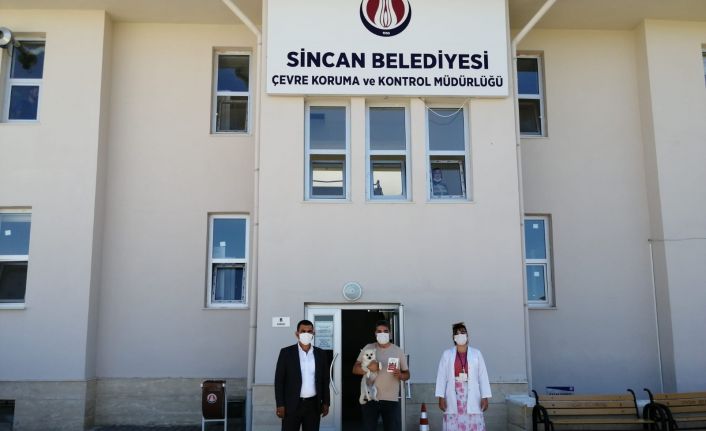 Sincan Belediyesi tarafından koruma altına alınan can dostlar yeni yuvalarına kavuşuyor