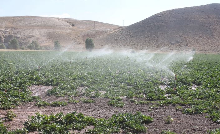 Sivas Gürün Suçatı Sulaması 1. Kısım inşaatının çalışmaları tamamlanarak sulamaya açıldı
