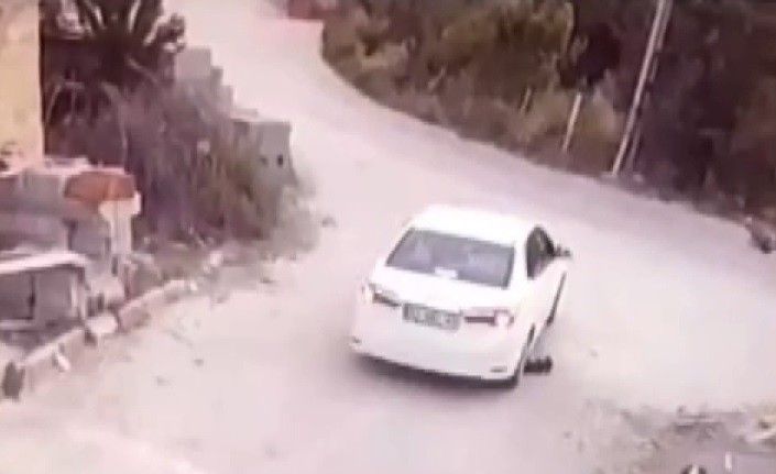 Sürücünün göz göre göre köpeğin üzerinden geçtiği anlar kamerada
