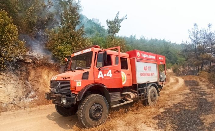Taşova Orman İşletme Kadirli’de