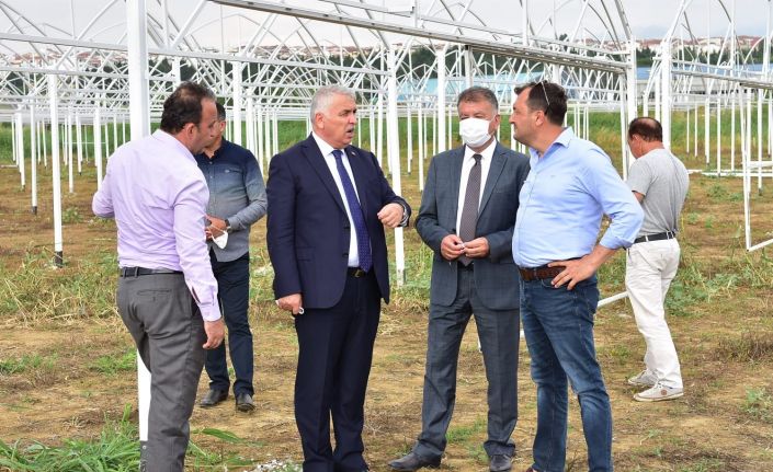 Tekirdağ’da seralara kadın eli değiyor